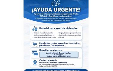 Entre los artículos que se requieren se encuentran escobas, trapeadores, cubetas, jabón en polvo y líquido, cloro, Pinol, detergente, esponjas y fibras.