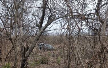 Confirman el hallazgo de cinco cuerpos en un predio en la zona de Matatán, en Rosario.