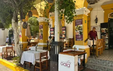 El corazón del Centro Histórico de Mazatlán se vestirá de fiesta del 12 al 17 de febrero, al recibir la muestra gastronómica “La Machado es Carnaval, la Machado es Tambora”.