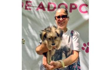 Más de 95 perros y gatos han sido reubicados con diversas familias mediante el programa “Huellitas del Bienestar”, del Gobierno de Mazatlán.