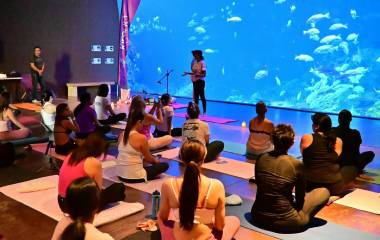 Gran Acuario Mazatlán e Imju unen fuerzas en evento de autocuidado y prevención de cáncer de mama.