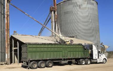 Autoridades y productores acordaron iniciar el registro y contratos para la comercialización de la cosecha de maíz en Sinaloa.