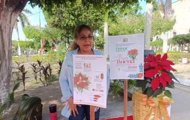 En un módulo de Bienestar Social en Escuinapa se reciben nochebuenas para decorar plazuelas y espacios comunitarios.