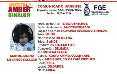 Fichas oficiales de búsqueda emitidas para la localización de la madre y su hija.