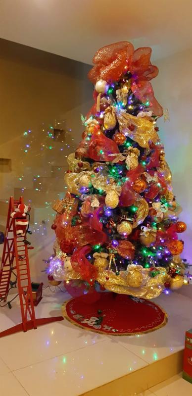 $!La decoración navideña es para recibirnos con amor en nuestro hogar: Grisel Castaños