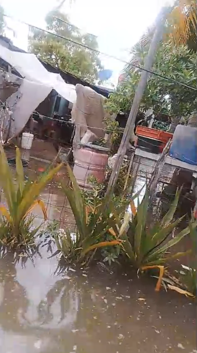 $!Marea sube en Las Aguamitas; alertan de corrientes y falta de atención