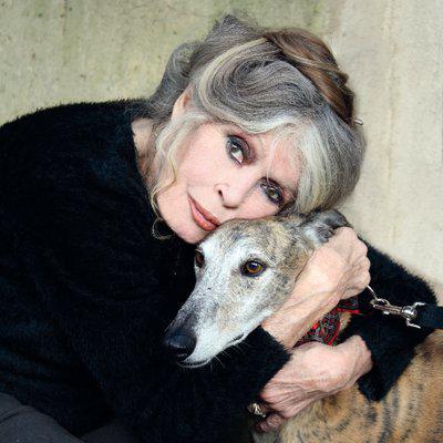$!Bajo su liderazgo, la Fundación Brigitte Bardot, creada en 1986, se convirtió en un actor clave en la protección animal en Francia y en todo el mundo.