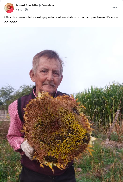 $!‘Los girasoles hablarán de ti’. DEP el joven Israel Castillo