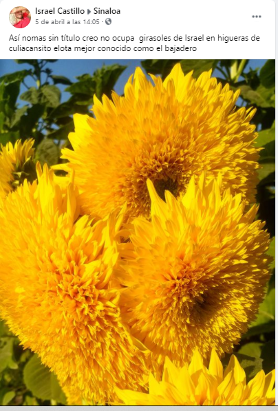 $!‘Los girasoles hablarán de ti’. DEP el joven Israel Castillo