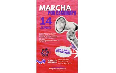 Colectivo invita a alzar la voz ante crisis de inseguridad.