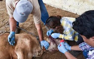 Culiacán concentra la mayor cantidad de casos con 45, seguido por Rosario con 13 y Mazatlán con 12.