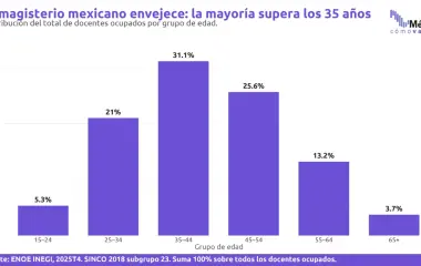 Detrás del homenaje: el magisterio mexicano en el mercado laboral