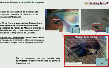 El derrame de hidrocarburo en el Golfo de México afectó costas de cuatro estados mexicanos y zonas de EU.