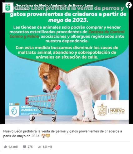 $!Nuevo León prohíbe venta de perros y gatos en tiendas a partir de mayo de 2023