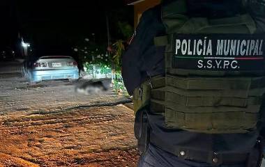 Autoridades investigan el ataque armado contra tres perros en Ahome; uno murió y dos quedaron heridos.