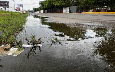 El brote se registra sobre la Calle Francisco Solís, entre Bicentenario y la Avenida La Marina.