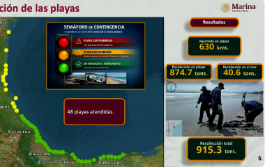 Zona del Golfo de México donde se registraron afectaciones por los derrames de hidrocarburos.