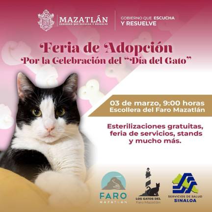 Anuncian la Feria de Adopción de gatos, en la zona donde abundan, en la escollera del Faro