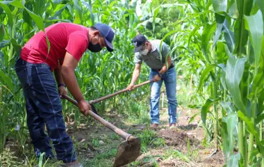 El Corredor Seco de Centroamérica es de las regiones más vulnerables a la desertificación y la sequía.