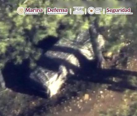 $!Sin un solo disparo ni personas fallecidas, así fue la detención de ‘El Jardinero’ en Nayarit