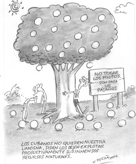 El árbol cubano de la vida