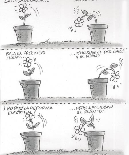 Flores de un día