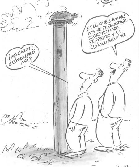 Un caso para la araña