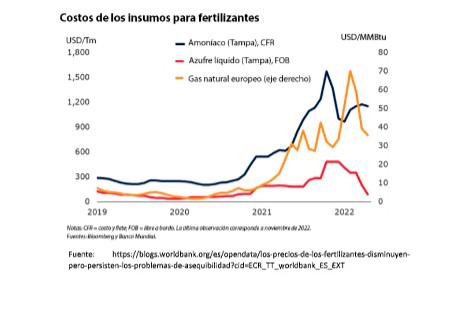 Los precios internacionales de los fertilizantes disminuyen, pero persisten los problemas de accesibilidad y disponibilidad