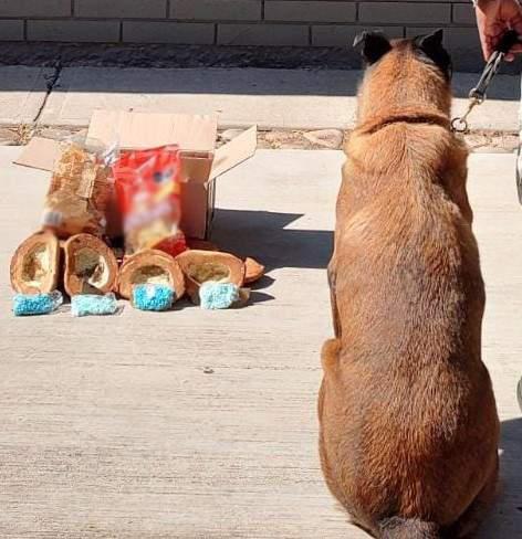$!Intercepta Guardia Nacional pan casero relleno de pastillas de aparente fentanilo, en Culiacán