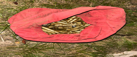 $!Detienen a siete personas y aseguran nueve áreas de producción de drogas en Sinaloa