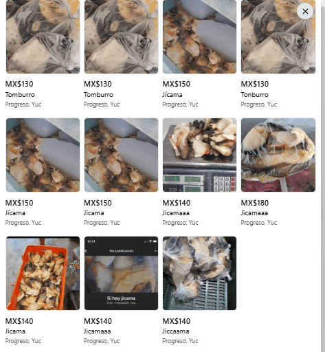 $!Jícama: la palabra clave en México para vender ilegalmente caracol rosado en redes sociales