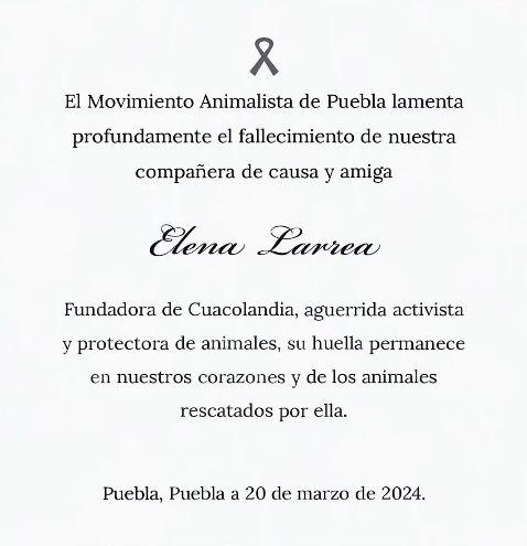 $!Lamentan muerte de activista y rescatista de animales en Puebla