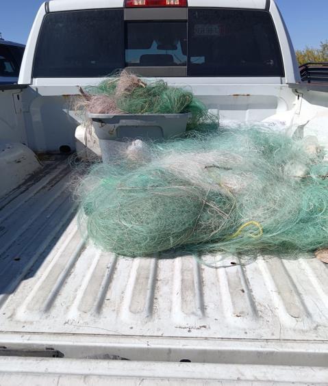 $!Crea Conapesca Sistema Nacional de Trazabilidad para frenar pesca ilegal