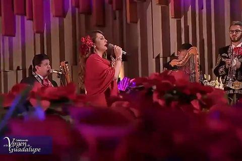 Llevan famosos serenata a la virgen de Guadalupe
