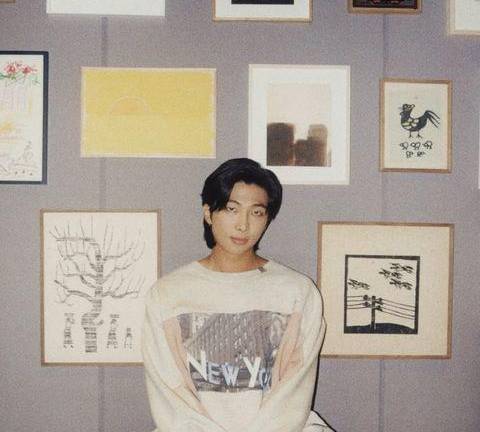 RM de BTS es un conocedor del arte.