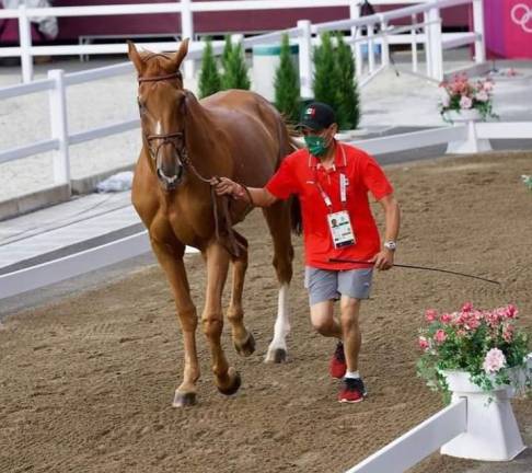 Concluye equipo mexicano de equitación en sitio 16 en los Juegos Olímpicos