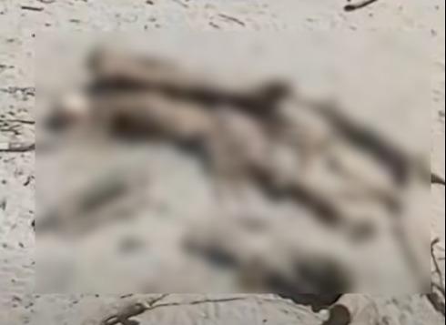 En la playa Majahual, ubicada en Chametla, localizaron un cuerpo en estado de descomposición.