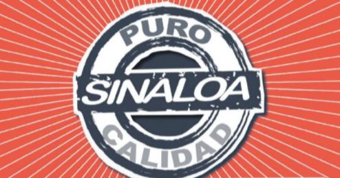 Gastó Quirino más de $32 millones en la marca Puro Sinaloa en 2017 y 2018: Iniciativa Sinaloa
