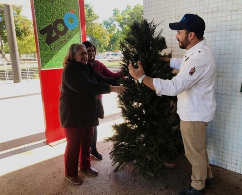 El Zoológico de Culiacán reciclará los árboles de Navidad que la población lleve.