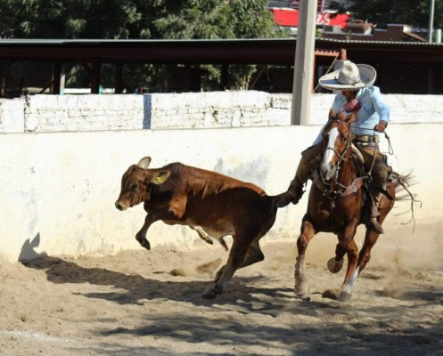 Realizan primer encuentro del año en el Lienzo Charro de la Colonia Juárez