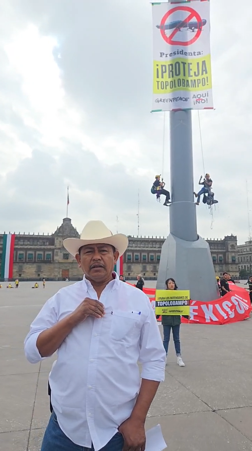 $!Greenpeace escala asta bandera del Zócalo de la CDMX por planta de amoniaco de Topolobampo