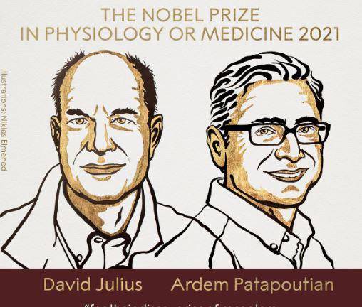 Premio Nobel de Medicina 2021 para biólogos moleculares David Julius y Ardem Patapoutian