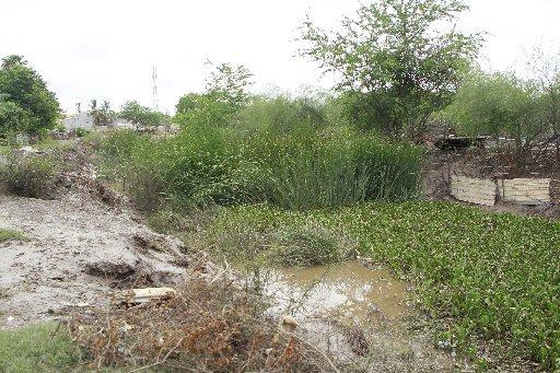 $!¿Qué será lo peor de ser damnificados de Villa Juárez, Navolato? Además del olvido, los cocodrilos merodeando