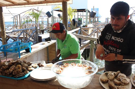 ¿Cómo salvaron la industria almejera en Sinaloa?