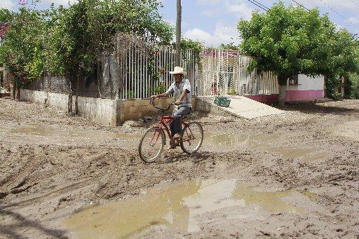 $!¿Qué será lo peor de ser damnificados de Villa Juárez, Navolato? Además del olvido, los cocodrilos merodeando