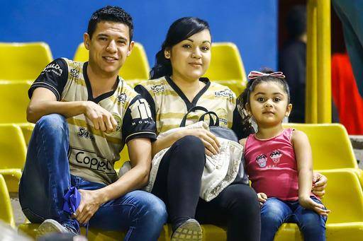 La afición dorada volverá a la tribuna.