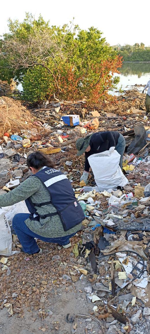 $!Se realiza otra jornada de ‘Cuidemos los Manglares’ en Mazatlán recolectando más de dos toneladas de residuos