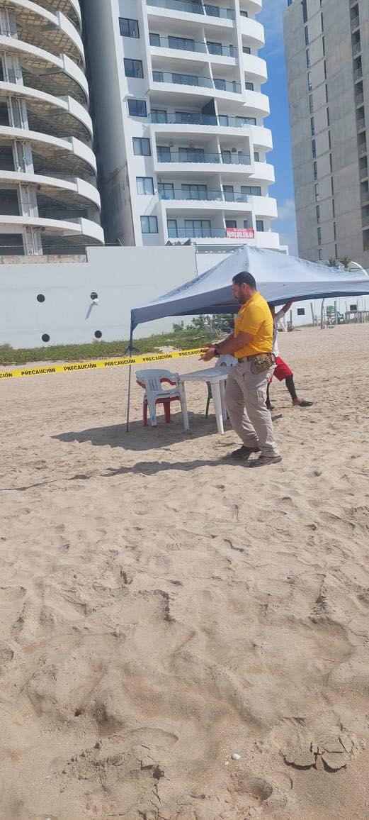 $!Cierran tramo de playa en Mazatlán por presencia de cocodrilo