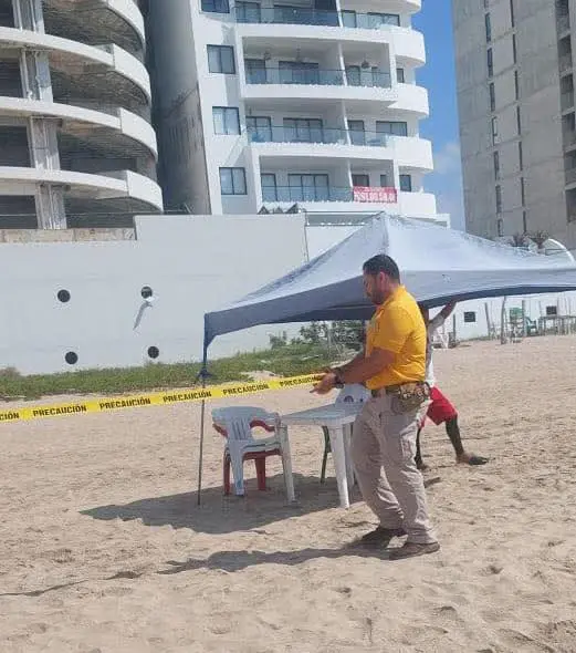 $!Ante presencia de cocodrilo en playas en Mazatlán, Protección Civil brinda apoyo a Profepa