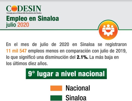 Registra Sinaloa ligera recuperación en empleos